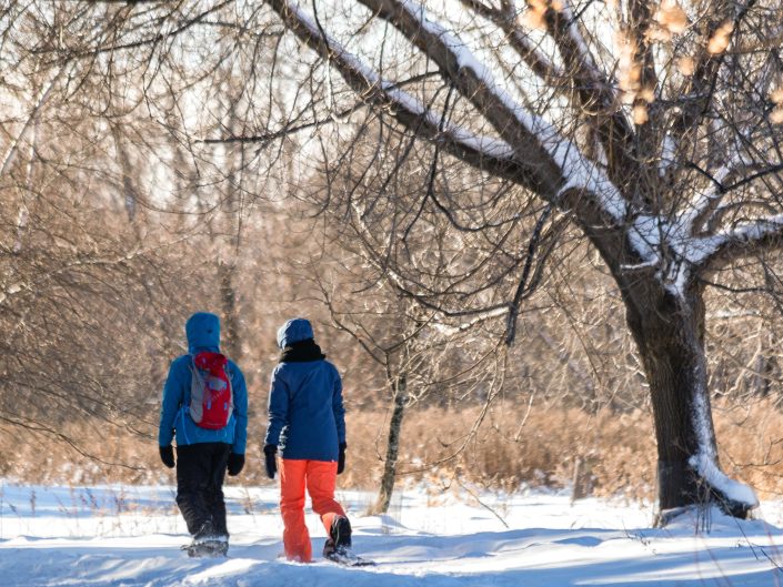 Raquette – Parc national des îles de Boucherville
