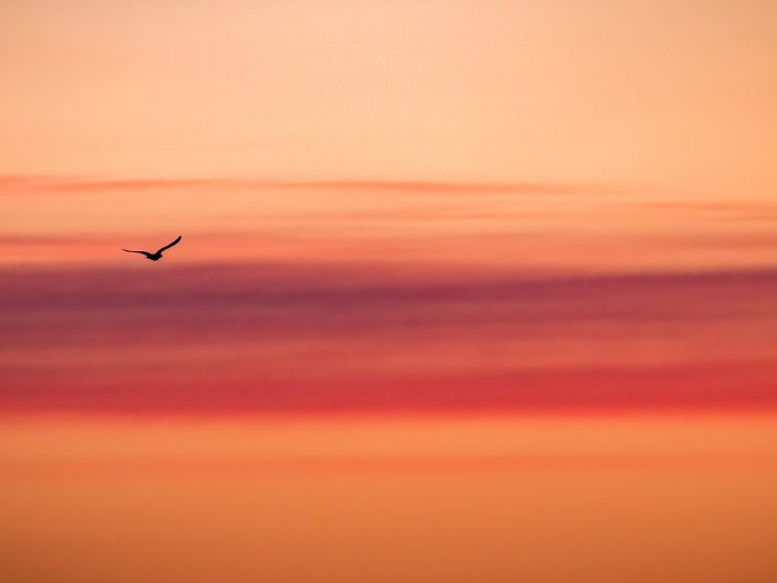Silhouette sur lever du soleil