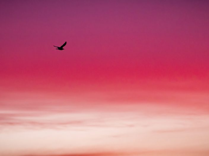 Silhouette sur lever du soleil