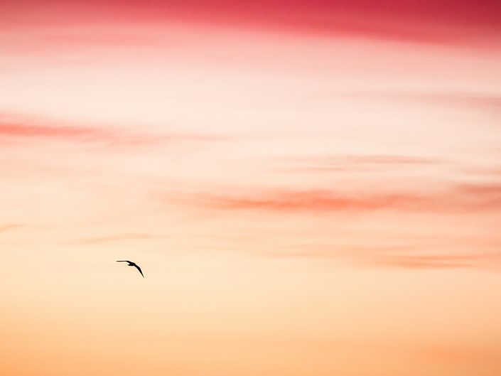 Silhouette sur lever du soleil