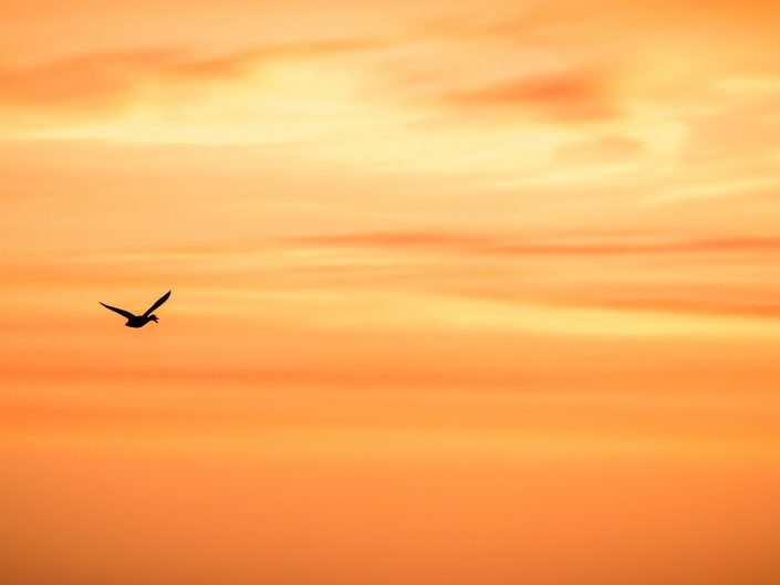Silhouette sur lever du soleil