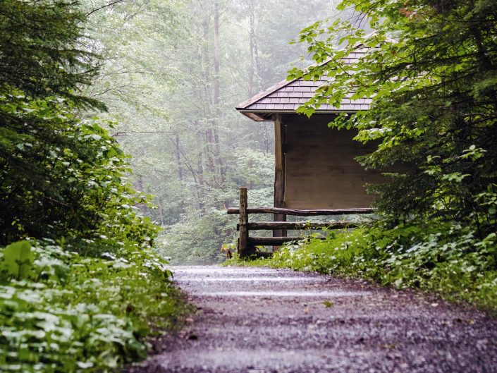 Réflexion – Parc national du Bic – Rimouski