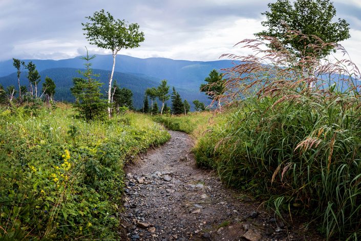 Parc national de la Gaspésie